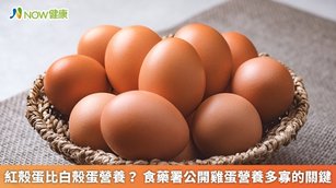 紅殼蛋比白殼蛋營養？食藥署公開雞蛋營養多寡的關鍵(首圖來源／Freepik)