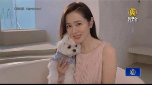 韓星孫藝真證實 出道24年將首度訪台