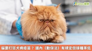 貓要打狂犬病疫苗？國內《動保法》有規定但接種率低(首圖來源／Freepik)