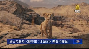 《獅子王：木法沙》預告曝 明星配音陣容回歸