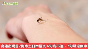 高雄出現首2例本土日本腦炎 6旬翁不治、7旬婦治療中(首圖來源／Freepik)