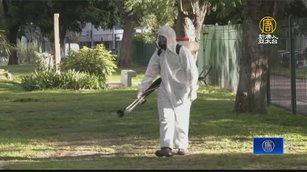 阿根廷登革熱疫情創紀錄  防蚊液一瓶難求