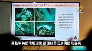 菲控中共破壞珊瑚礁 籲開放黃岩島供國際審視｜寰宇掃描