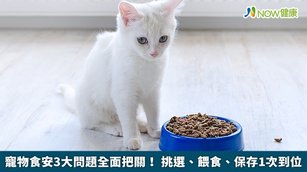 寵物食安3大問題全面把關！挑選、餵食、保存1次到位(首圖來源／Freepik)