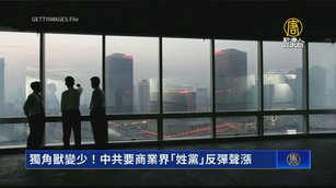 獨角獸變少！中共要商業界「姓黨」反彈聲漲