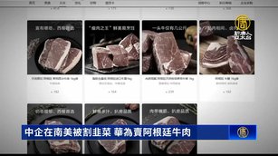 中企在南美被割韭菜 華為賣阿根廷牛肉