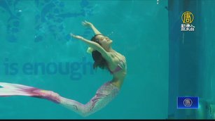 第二屆台灣人魚表演賽 基隆海科館華麗登場