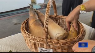 炎炎夏日竹筍盛產 彰化花筍節將登場