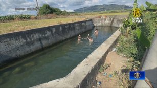 在地人才知道 台中大甲「冷泉祕境」冰涼清澈