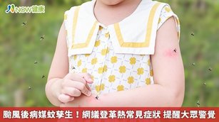 颱風後病媒蚊孳生！網議登革熱常見症狀 提醒大眾警覺(首圖來源／Freepik)