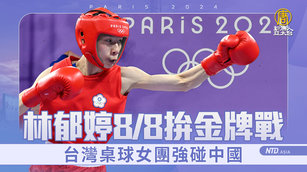 台灣桌球女團強碰中國 林郁婷明晨拚金牌戰