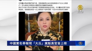 中國網友實名舉報 中共黨魁、貪官皆上榜