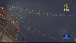 季節限定城市鳥景 高雄大樹上萬家燕大軍駐停