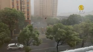 75年最強颱 貝碧佳登陸上海、葡萄桑或跟進