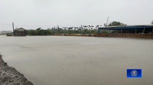 國家警報響！高屏強風告警 高雄港現17級強風