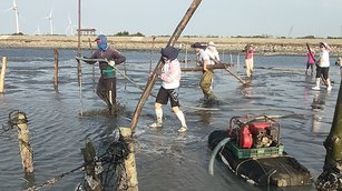 不停地搖晃浮木深入沙灘（王功蚵藝文化協會提供）