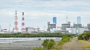 台電投入高雄永安濕地保育逾10年，透過科學化管理，結合水位調控技術，將濕地打造為適合候鳥棲息覓食的「水鳥大飯店」。（台電提供）