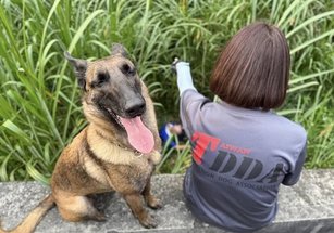 社團法人台灣偵搜犬協會積極協助搜救，搜救犬尋獲張姓阿嬤。（彰化縣警察局彰化分局提供）