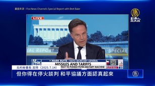 俄印外長正訪中！北約讚川普「次級關稅」意義重大