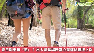 夏日別來無「恙」？出入這些場所當心恙蟎幼蟲找上你(首圖來源／Freepik)