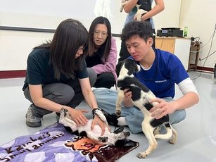 大仁科技大學陳晴惠講師親自指導犬隻行為矯正（高雄市農業局提供）