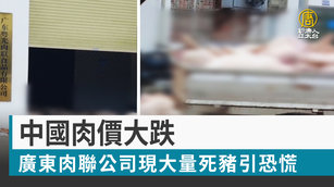 中國肉價大跌 廣東肉聯公司現大量死豬引恐慌