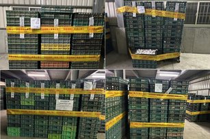 文雅畜牧場檢出芬普尼陽性，為保障國人食用安全，應該停止該場雞蛋產品出貨，並應逐批(日)檢驗該場雞蛋(彰化縣政府 提供)