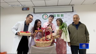 單身人數增少子化嚴重 醫師建議婦女婚前凍卵保生機