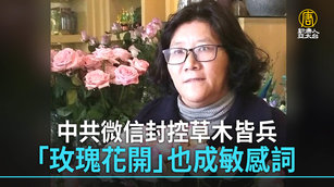 中共微信封控草木皆兵 「玫瑰花開」也成敏感詞
