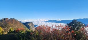 小笠原山可眺望雲海及大塔山一角，民眾可多加利用阿里山與高鐵合作聯票至阿里山走春。（林業署嘉義分署提供）