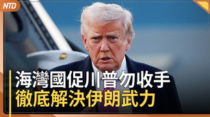 海灣國家促川普勿收手 徹底解決伊朗武力