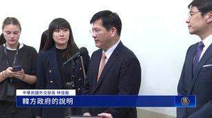 韓擬改入境卡欄位 林佳龍：秉持平等互惠暫緩反制