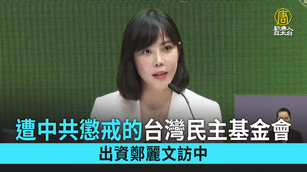 遭中共懲戒的台灣民主基金會 出資鄭麗文訪中