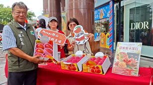 枋山鄉長羅金良(左)致力推動枋山芒果農數位轉型，致力透過電商來協助果農爭取網路商機。（圖／葉子棻）