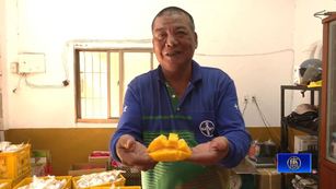 枋山更生人創農場投公益 乘載希望助浪子回頭
