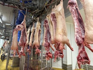 打造全國指標性肉品市場 嘉縣借鏡法國智慧化（嘉義縣政府提供）