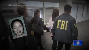 監控台總統之子 共諜張婉瑩有逃亡之虞被裁定續押